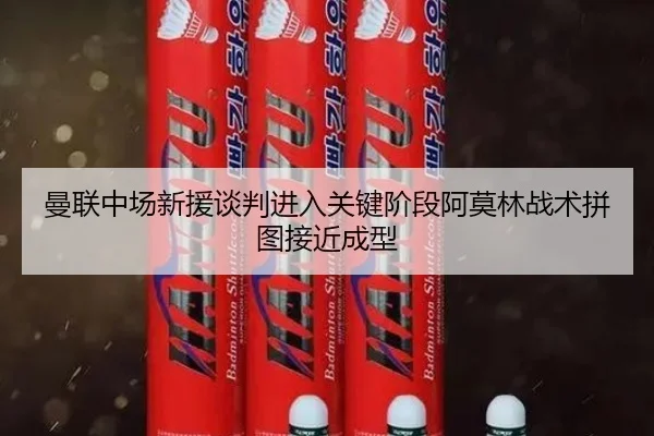 曼联中场新援谈判进入关键阶段阿莫林战术拼图接近成型（milan.com）